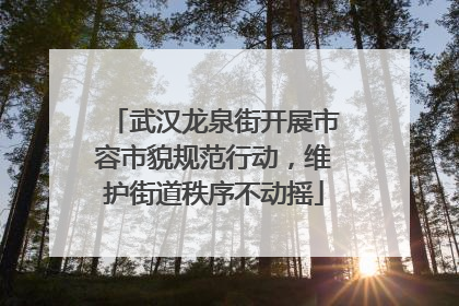 武汉龙泉街开展市容市貌规范行动，维护街道秩序不动摇