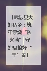 武陟县大虹桥乡：筑牢禁烧“防火墙” 守护夏粮好“丰”景