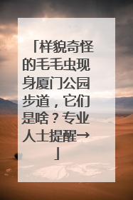 样貌奇怪的毛毛虫现身厦门公园步道，它们是啥？专业人士提醒→