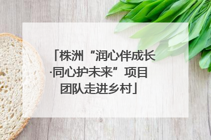 株洲“润心伴成长·同心护未来”项目团队走进乡村