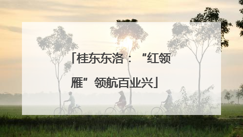 桂东东洛：“红领雁”领航百业兴