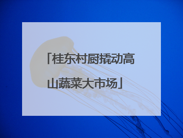 桂东村厨撬动高山蔬菜大市场