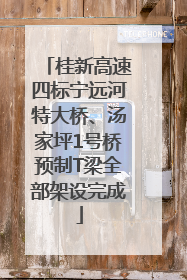 桂新高速四标宁远河特大桥、汤家坪1号桥预制T梁全部架设完成