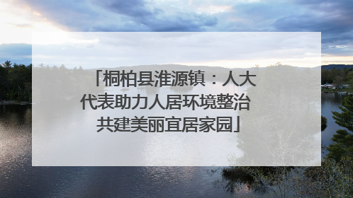 桐柏县淮源镇：人大代表助力人居环境整治 共建美丽宜居家园