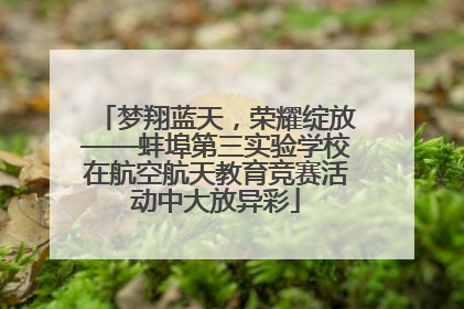 梦翔蓝天，荣耀绽放——蚌埠第三实验学校在航空航天教育竞赛活动中大放异彩