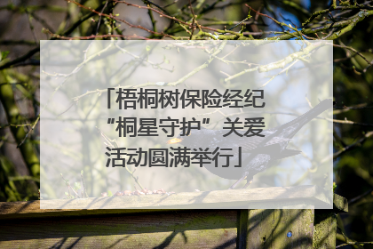 梧桐树保险经纪“桐星守护”关爱活动圆满举行