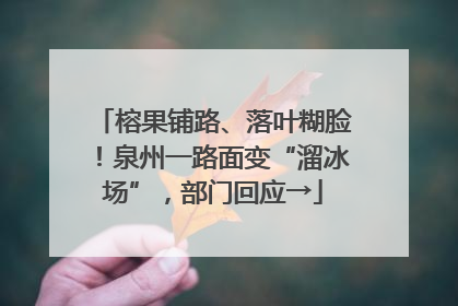 榕果铺路、落叶糊脸！泉州一路面变“溜冰场”，部门回应→
