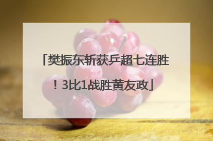 樊振东斩获乒超七连胜！3比1战胜黄友政