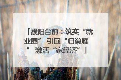 濮阳台前：筑实“就业圈” 引回“归巢雁” 激活“家经济”