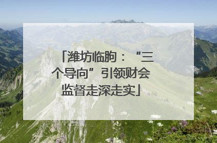 潍坊临朐：“三个导向”引领财会监督走深走实