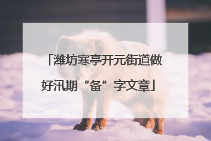 潍坊寒亭开元街道做好汛期“备”字文章