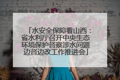 水安全保障看山西：省水利厅召开中央生态环境保护督察涉水问题边督边改工作推进会