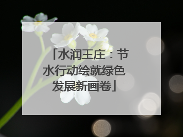 水润王庄：节水行动绘就绿色发展新画卷