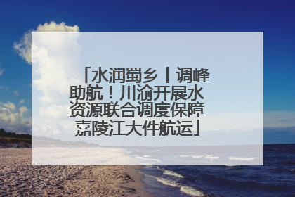 水润蜀乡丨调峰助航！川渝开展水资源联合调度保障嘉陵江大件航运