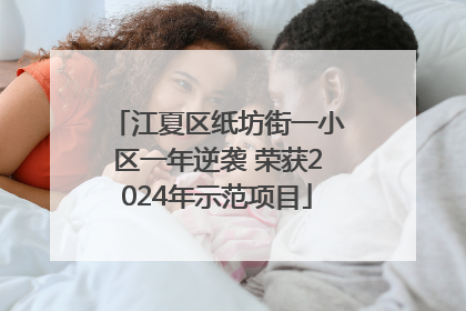 江夏区纸坊街一小区一年逆袭 荣获2024年示范项目