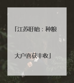 江苏盱眙：种粮大户喜获丰收