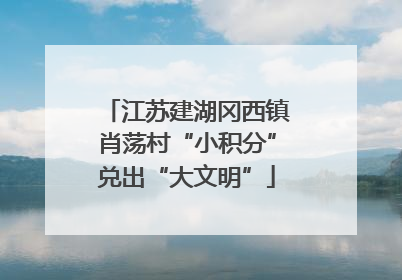 江苏建湖冈西镇肖荡村“小积分”兑出“大文明”