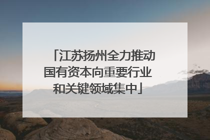 江苏扬州全力推动国有资本向重要行业和关键领域集中