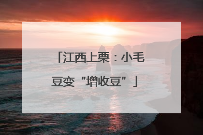 江西上栗：小毛豆变“增收豆”