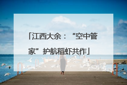 江西大余：“空中管家”护航稻虾共作