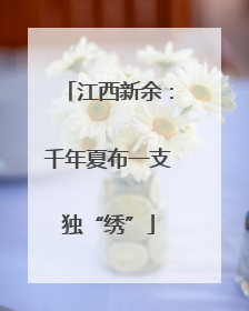 江西新余：千年夏布一支独“绣”
