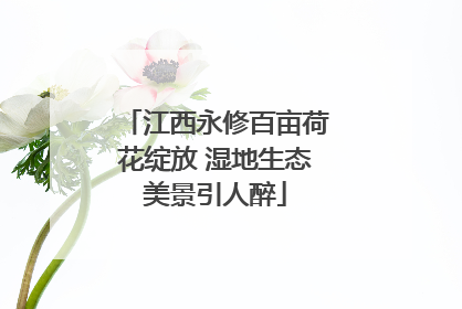 江西永修百亩荷花绽放 湿地生态美景引人醉