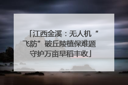 江西金溪：无人机“飞防”破丘陵植保难题 守护万亩早稻丰收