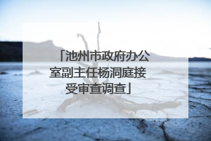 池州市政府办公室副主任杨洞庭接受审查调查