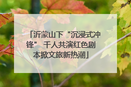 沂蒙山下“沉浸式冲锋” 千人共演红色剧本掀文旅新热潮
