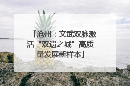沧州：文武双脉激活“双遗之城”高质量发展新样本