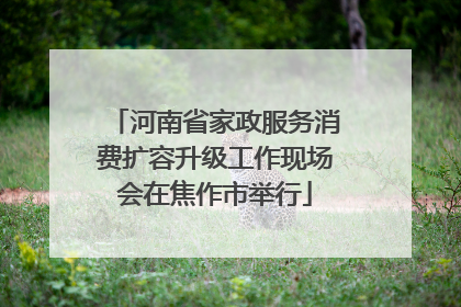 河南省家政服务消费扩容升级工作现场会在焦作市举行