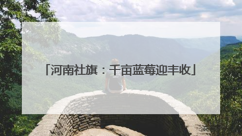 河南社旗：千亩蓝莓迎丰收