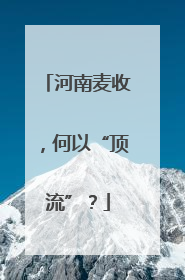 河南麦收，何以“顶流”？