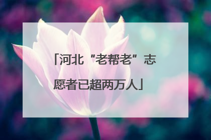 河北“老帮老”志愿者已超两万人