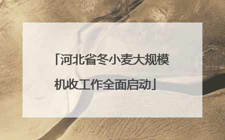 河北省冬小麦大规模机收工作全面启动