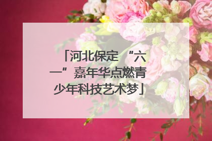 河北保定 “六一”嘉年华点燃青少年科技艺术梦