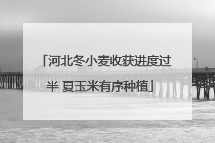 河北冬小麦收获进度过半 夏玉米有序种植