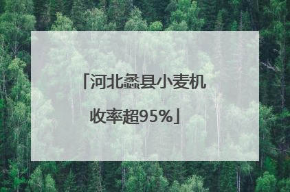 河北蠡县小麦机收率超95%