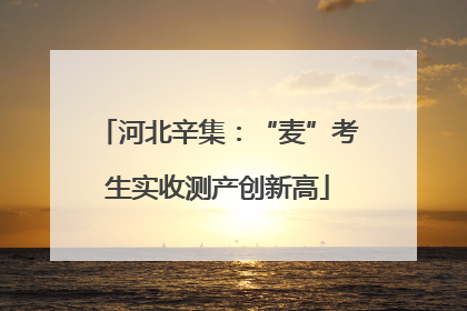 河北辛集：“麦”考生实收测产创新高