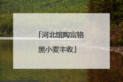 河北馆陶富铬黑小麦丰收
