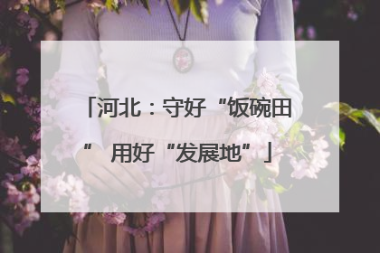 河北：守好“饭碗田” 用好“发展地”