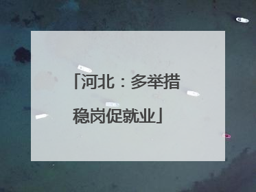 河北：多举措稳岗促就业