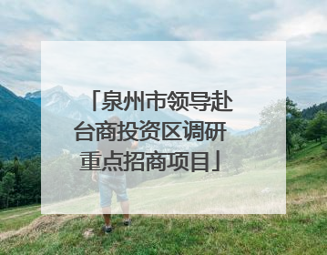 泉州市领导赴台商投资区调研重点招商项目