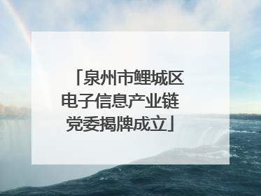 泉州市鲤城区电子信息产业链党委揭牌成立
