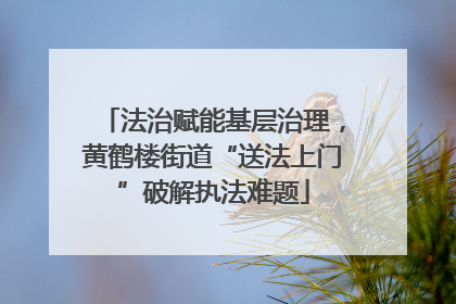 法治赋能基层治理，黄鹤楼街道“送法上门”破解执法难题