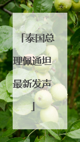 泰国总理佩通坦最新发声