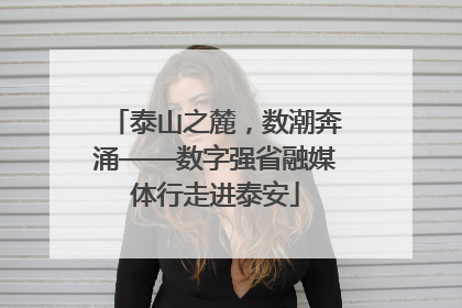 泰山之麓，数潮奔涌——数字强省融媒体行走进泰安