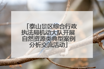 泰山景区综合行政执法局机动大队开展自然资源类典型案例分析交流活动