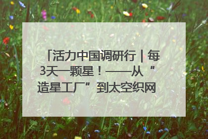 活力中国调研行｜每3天一颗星！——从“造星工厂”到太空织网的“银河速度”