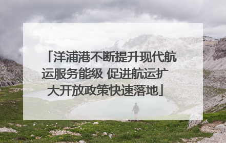 洋浦港不断提升现代航运服务能级 促进航运扩大开放政策快速落地
